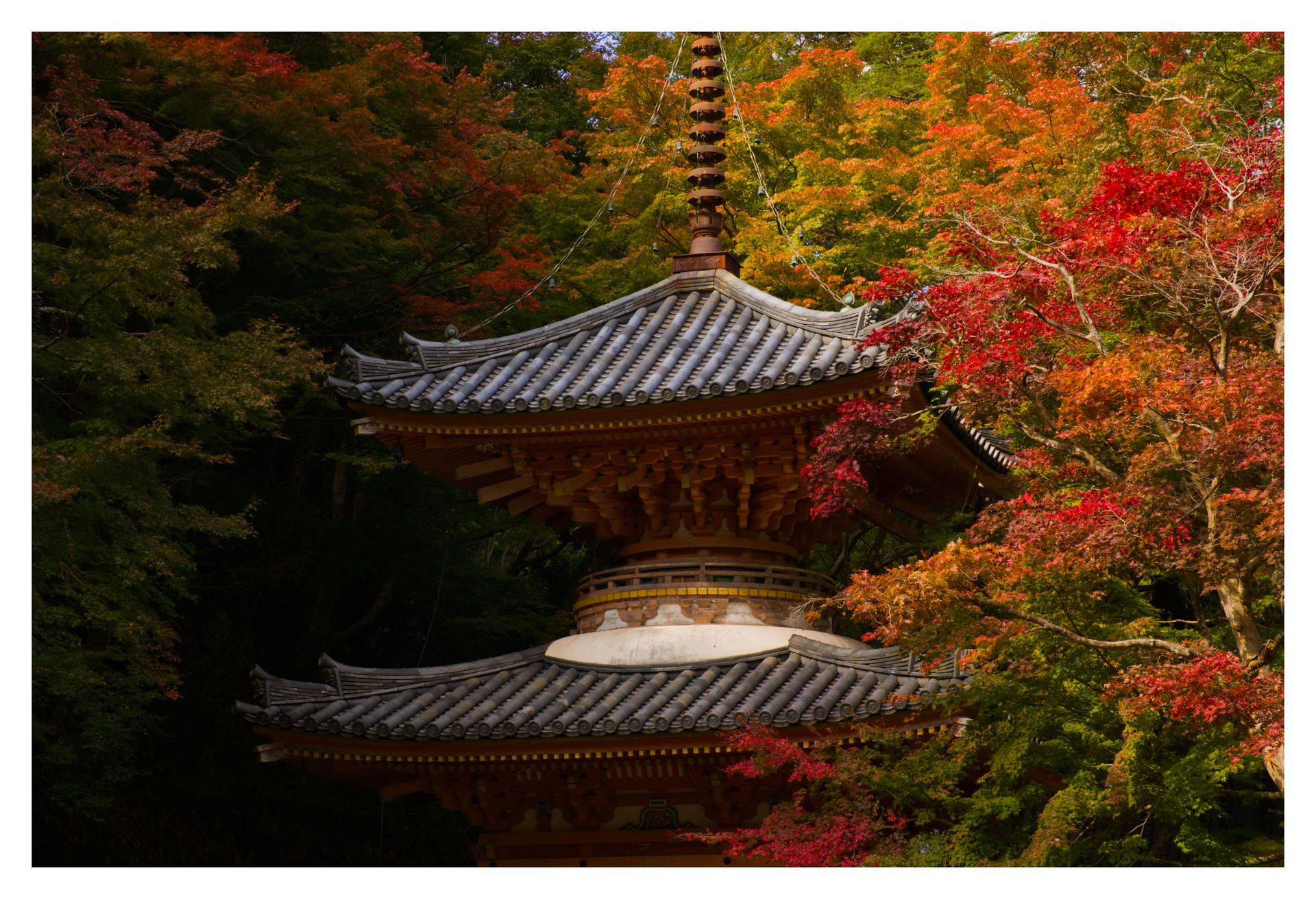 Temple japonais entouré de feuillages d’automne – photo AroundJapan