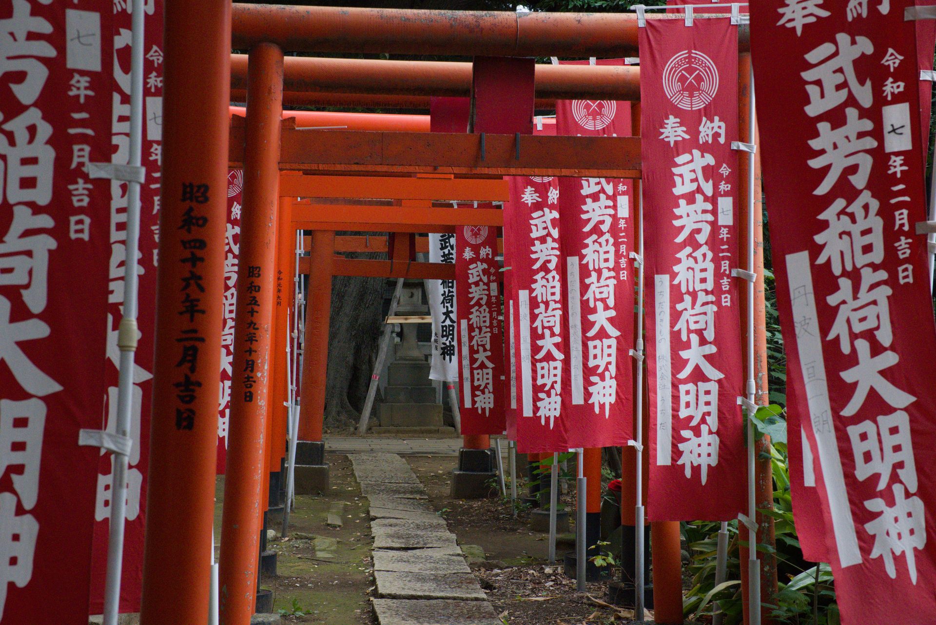 Photo Japon 4