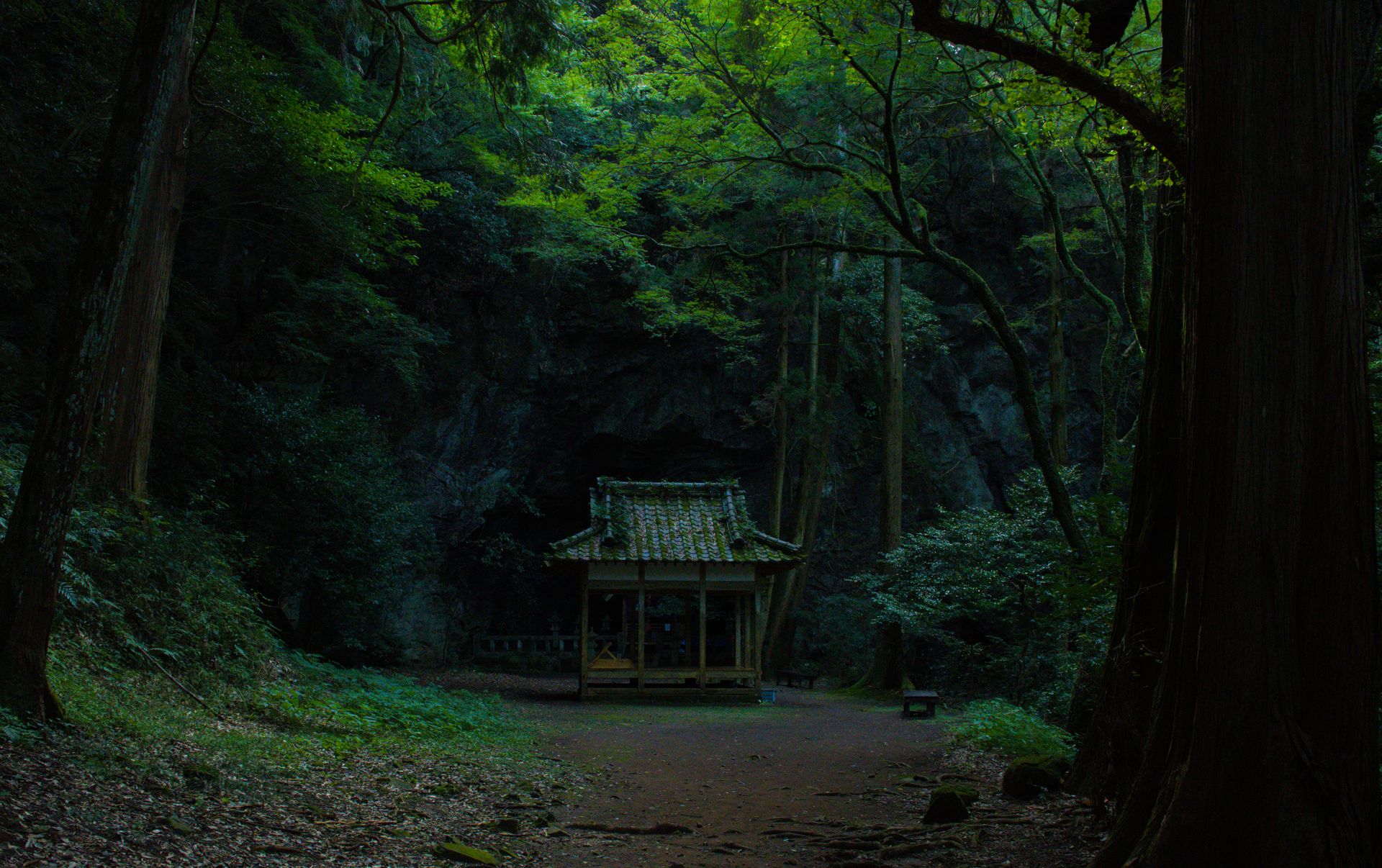 Photo Japon 2