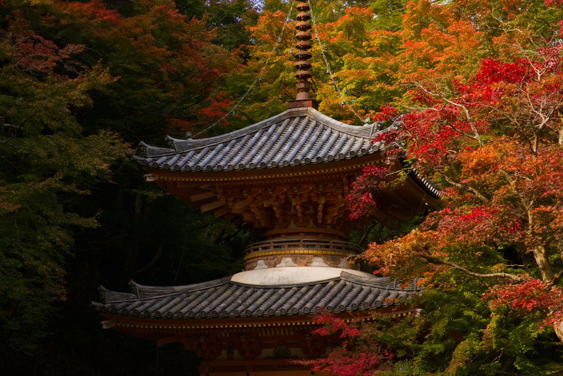 Photo Japon 1